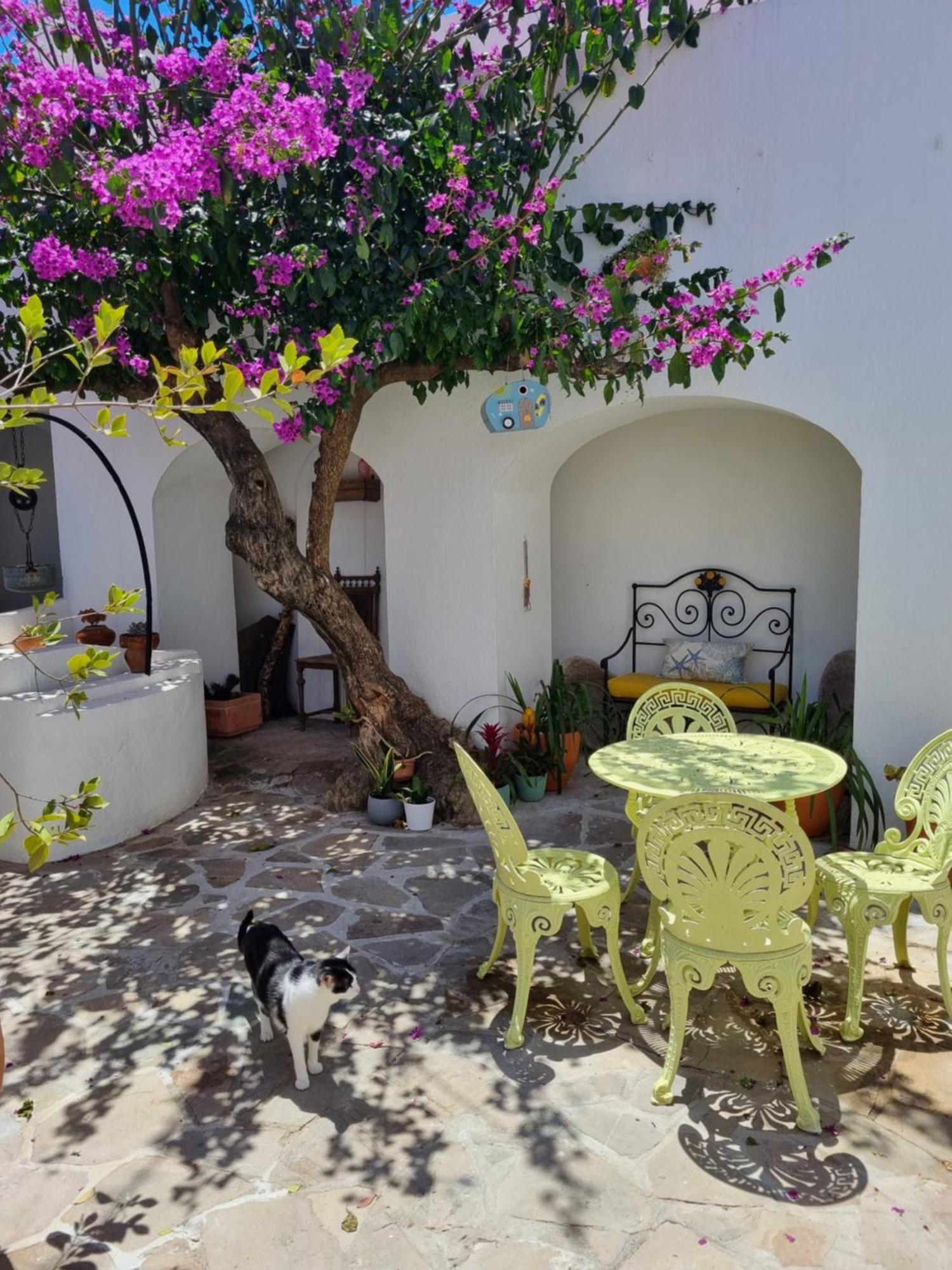 Castle House And Beach Sines Luaran gambar